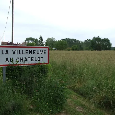 Le Saule Argente *